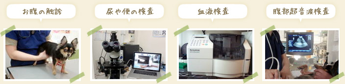 お腹の検診・尿や便の検査・血液検査・腹部超音波検査