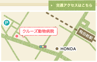 地図　交通アクセスはこちら