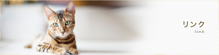 リンク 