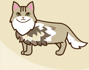 ノルウェージャン・フォレスト・キャット