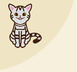 アメリカンショートヘア