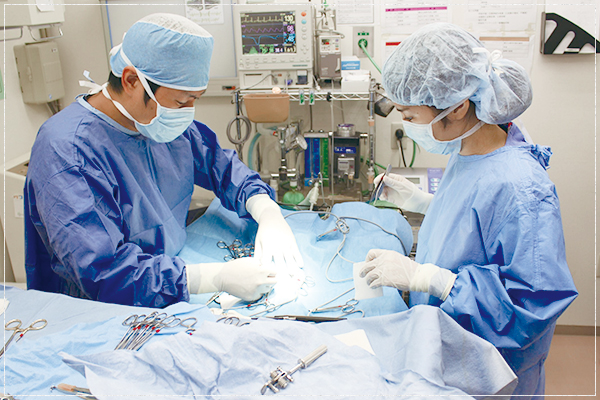 手術の様子