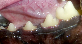 見ためはキレイですが