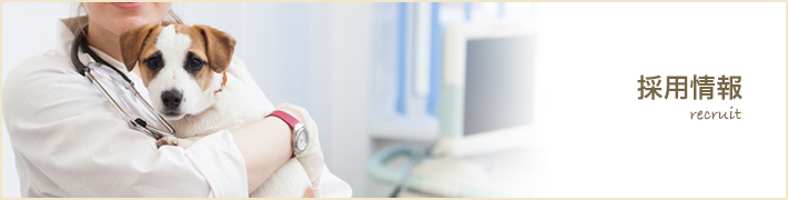 採用情報