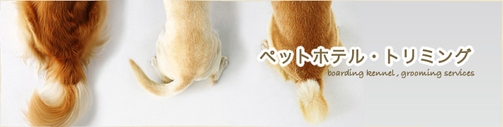 ペットホテル・トリミング