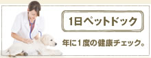 １日ペットドック　年に１度の健康チェック。 お気軽にご予約くださいね。 