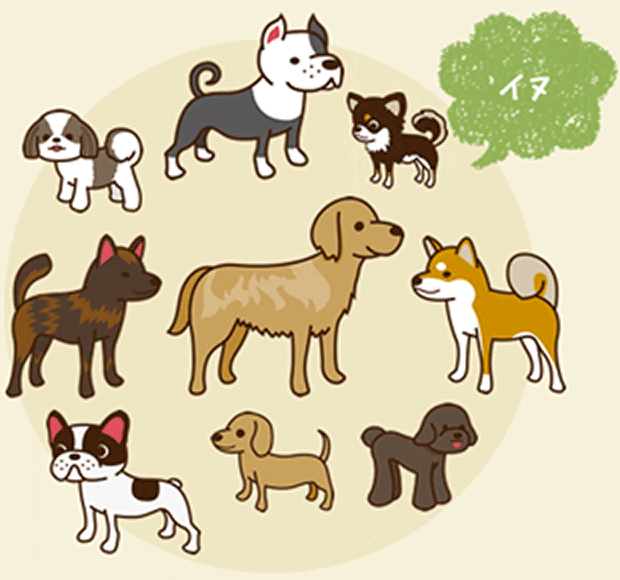 診療対象:イヌ