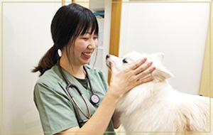 獣医師　菊池　仁美 