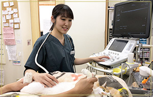 獣医師　佐々木　ねむ 