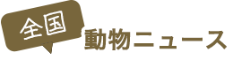 全国動物ニュース